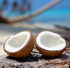 Coconut Cream Fragrance Oil