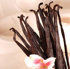 Vanilla Fragrant Oil